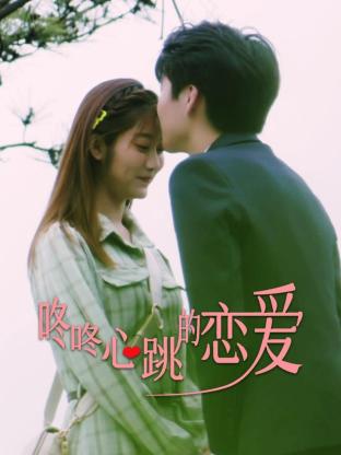 seo优化收费软件运营